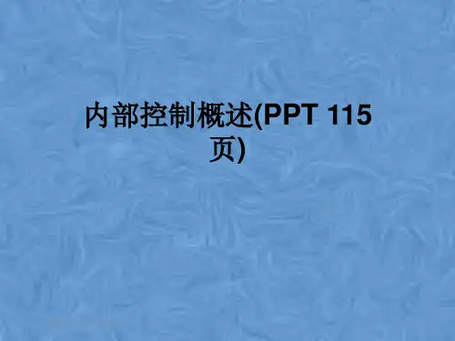 内部控制概述(PPT 115页)