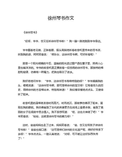 徐州琴书作文