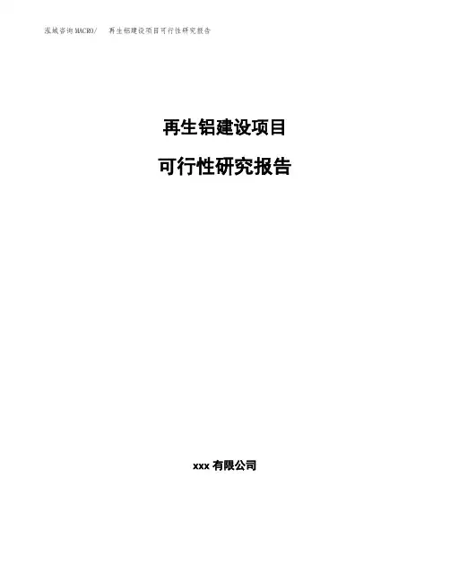 再生铝建设项目可行性研究报告