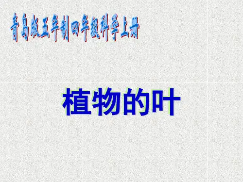 【青岛版】科学五四制四上：第3课《植物的叶》ppt课件(1)