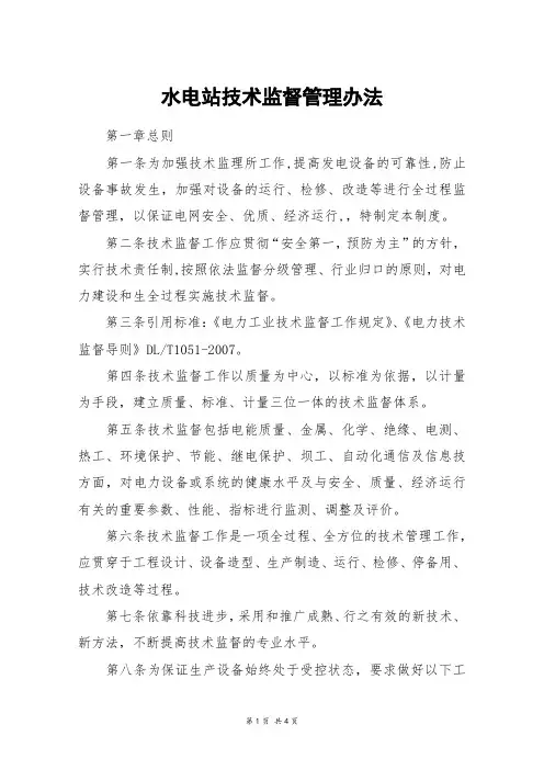 水电站技术监督管理办法