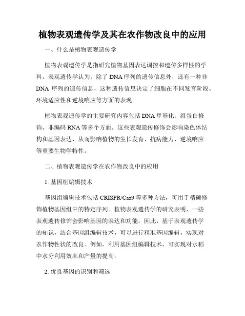 植物表观遗传学及其在农作物改良中的应用
