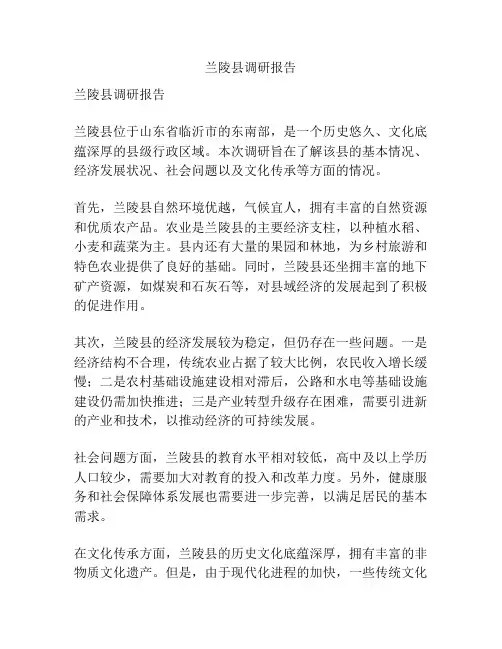 兰陵县调研报告