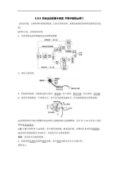 1.3.2 反射活动的基本原理 学案2 中图版必修三
