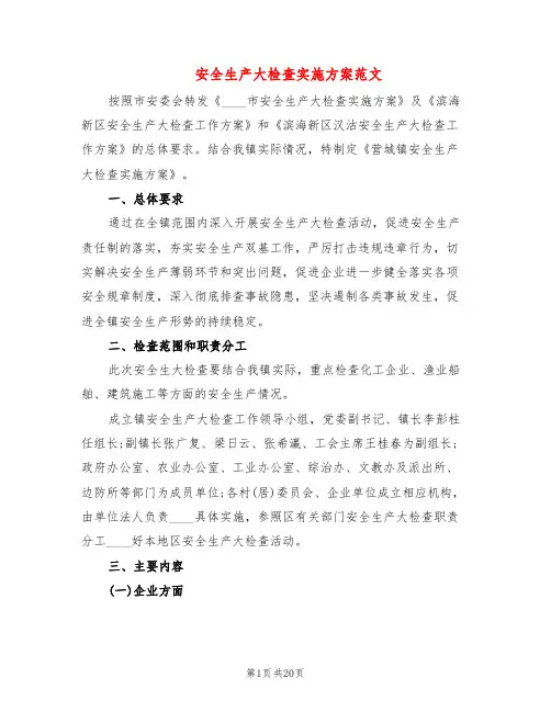 安全生产大检查实施方案范文(6篇)