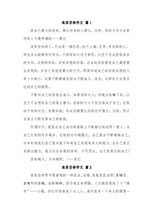 努力追求目标作文