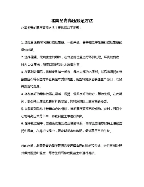 北美冬青高压繁殖方法