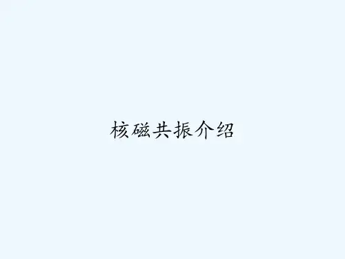 核磁共振介绍