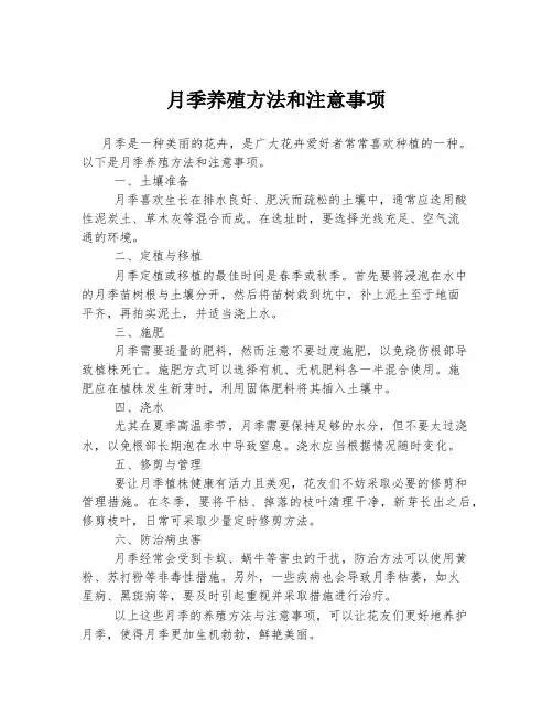 月季养殖方法和注意事项