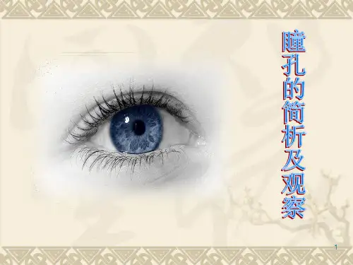 瞳孔-演示文稿PPT课件