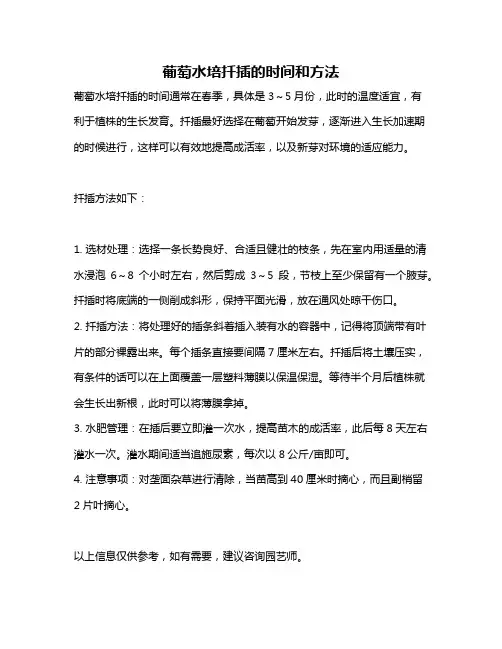 葡萄水培扦插的时间和方法
