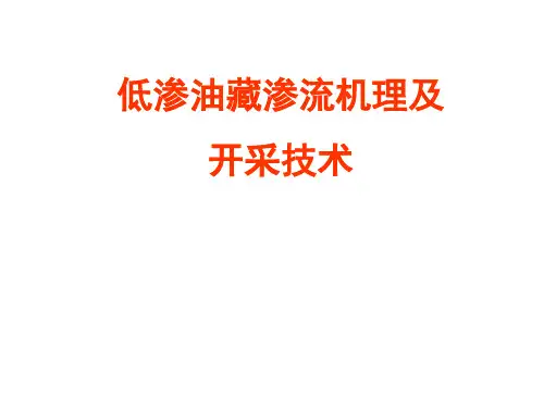 低渗油藏渗流机理及开采技术