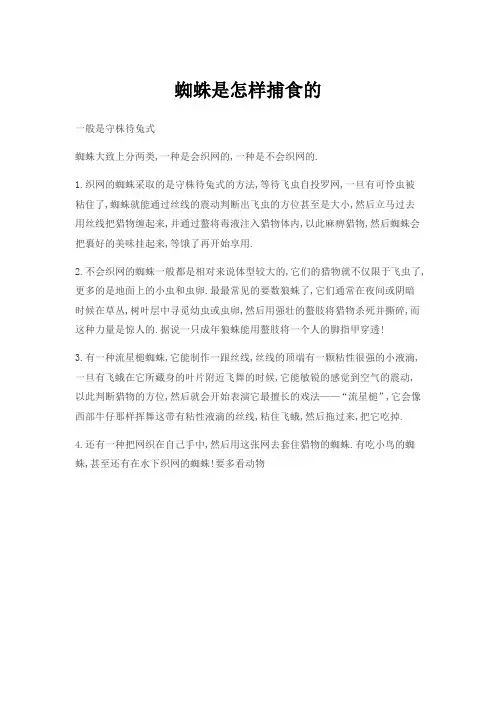 蜘蛛是怎样捕食的