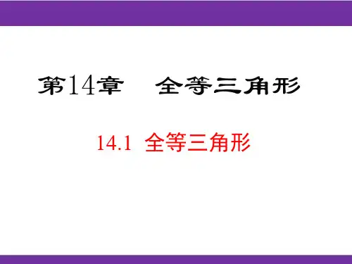 沪科版八年级上册数学课件(第14章 全等三角形)