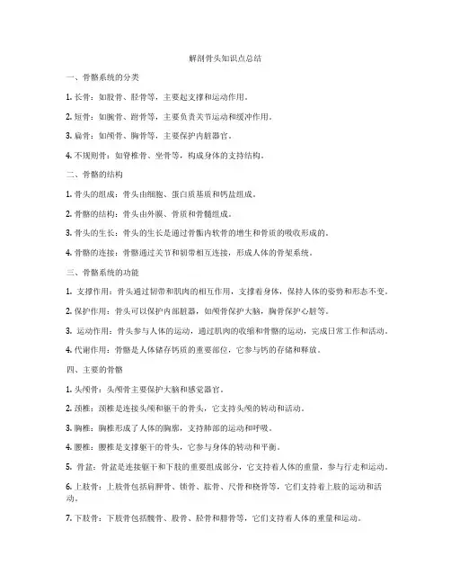 解剖骨头知识点总结