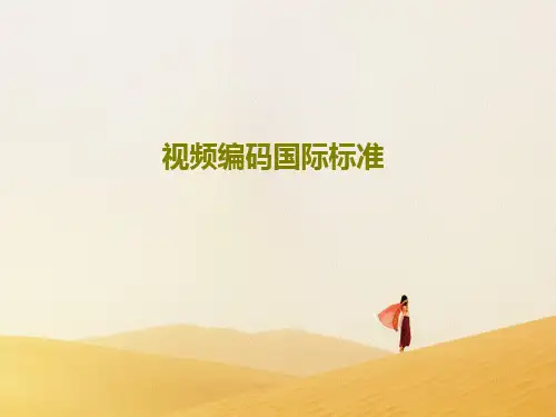 视频编码国际标准122页PPT