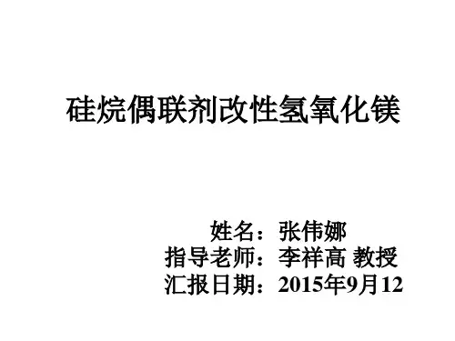 氢氧化镁的表面改性9.10