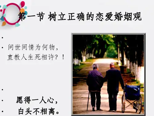 《爱情与婚姻》PPT课件