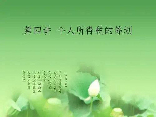 《个人所得税的筹划》PPT课件