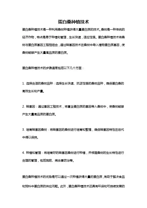 蛋白桑种植技术