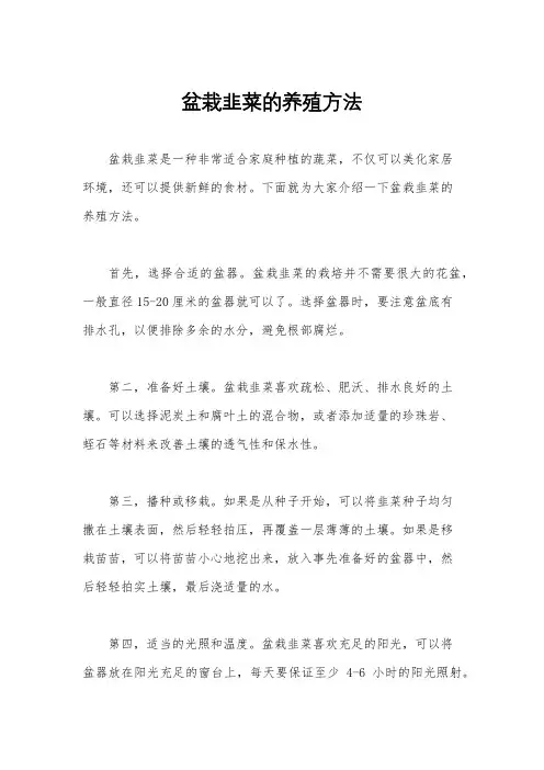 盆栽韭菜的养殖方法