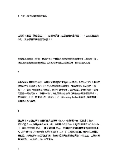 SDS-聚丙烯酰胺凝胶电泳