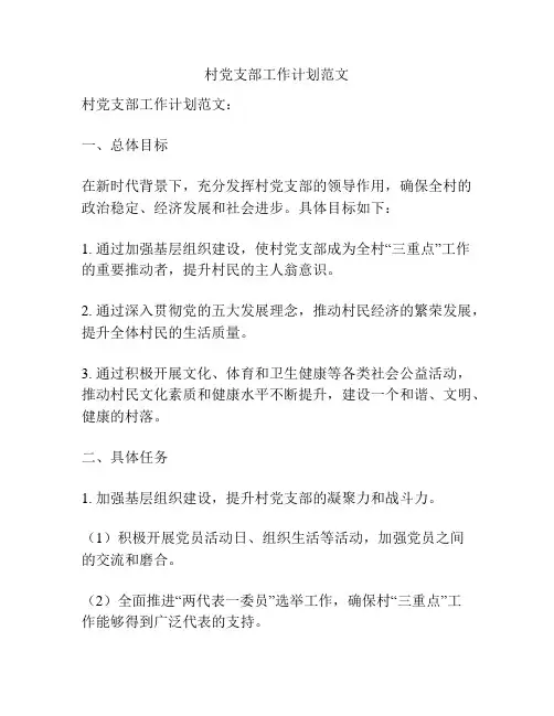 村党支部工作计划范文