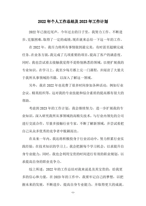 2022年个人工作总结及2023年工作计划