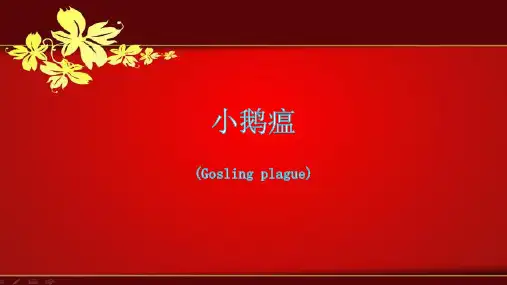 课件：小鹅瘟