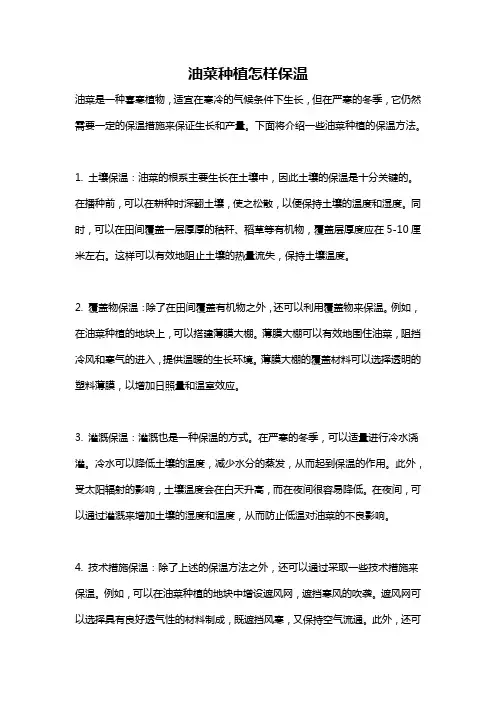 油菜种植怎样保温