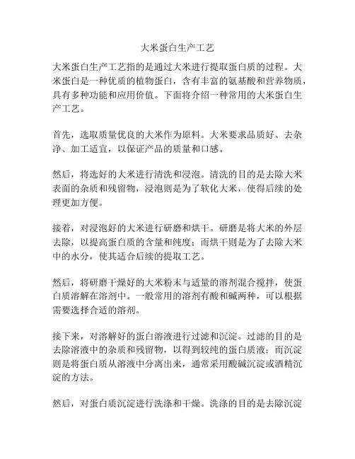 大米蛋白生产工艺