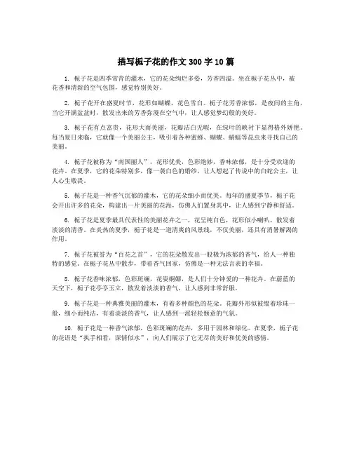 描写栀子花的作文300字10篇