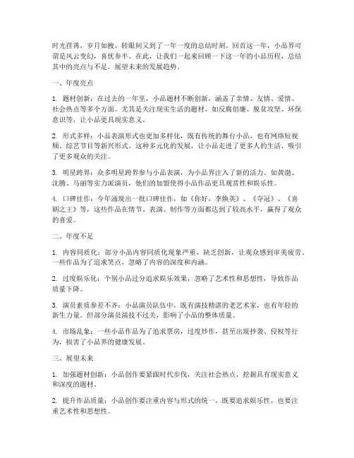 小品年度总结