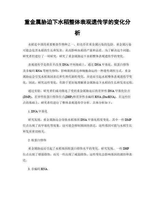 重金属胁迫下水稻整体表观遗传学的变化分析