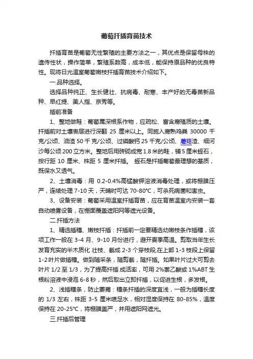 葡萄扦插育苗技术