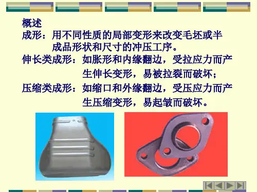 第五章成形工艺与成形模设计