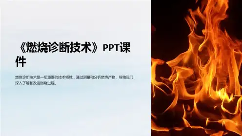 《燃烧诊断技术》课件