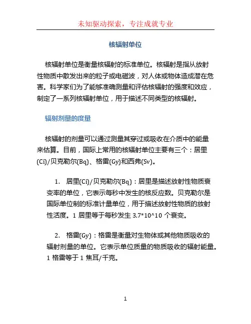 核辐射单位
