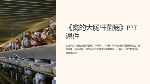 《禽的大肠杆菌病》课件