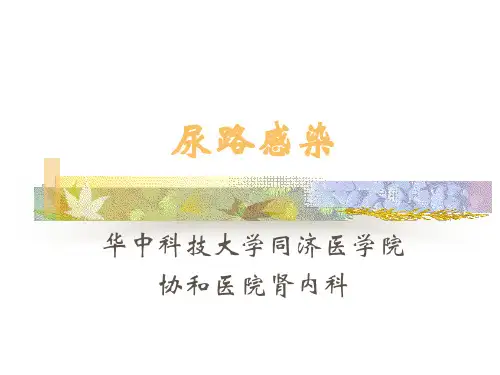 尿路感染