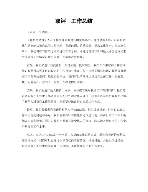 双评  工作总结