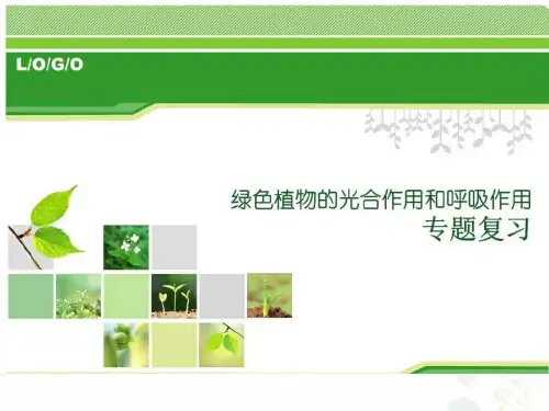 光合作用呼吸作用复习课件