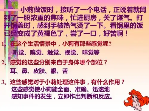 【初中生物】人体对信息的感知ppt1