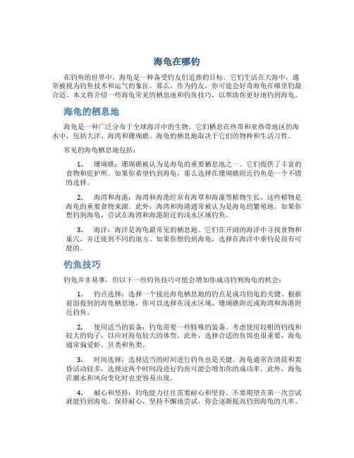 海龟在哪钓
