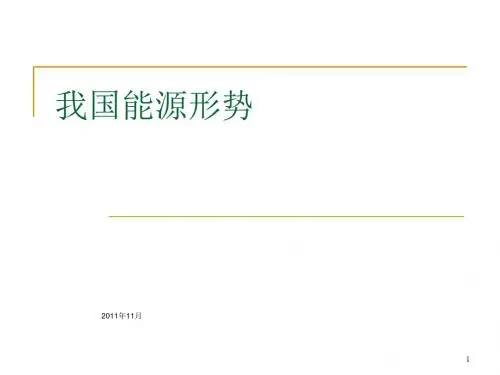 中国可再生能源形势发展(ppt 98页)