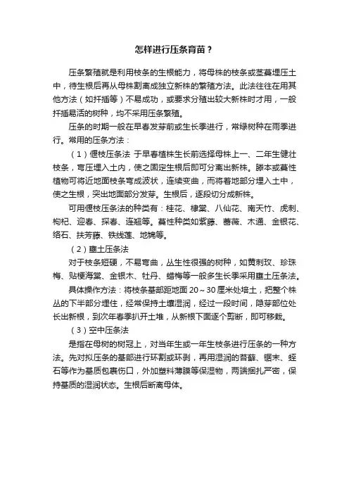 怎样进行压条育苗？