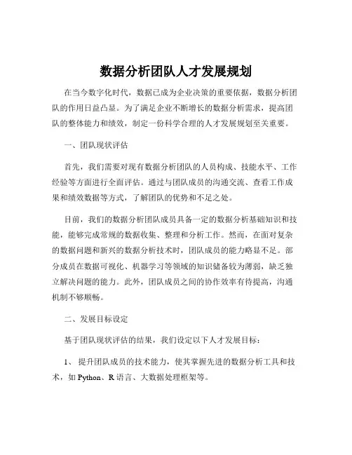 数据分析团队人才发展规划
