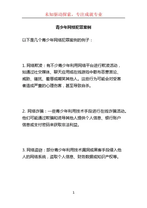青少年网络犯罪案例 (2)