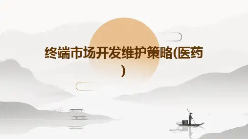 终端市场开发维护策略(医药)