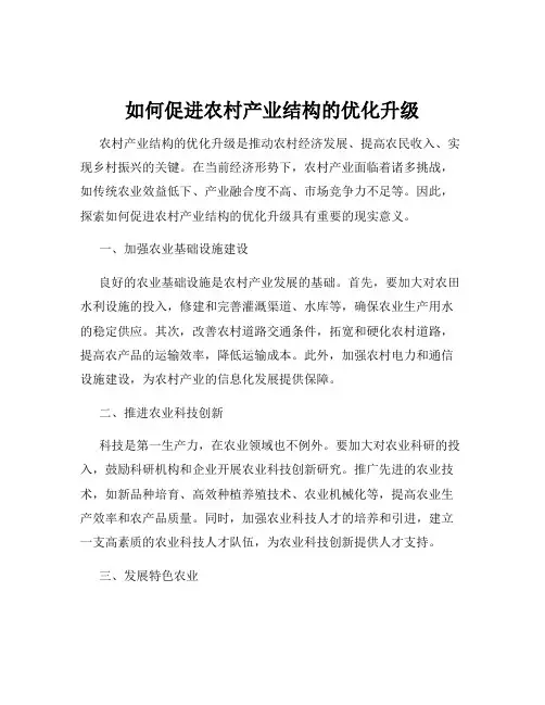 如何促进农村产业结构的优化升级